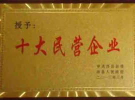 十大民營(yíng)企業(yè) 十大民營(yíng)企業(yè)
